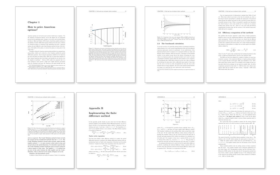 LaTex style PhD thesis document formatted in Microsoft Word.