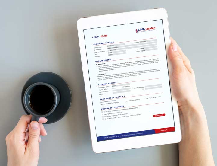 PDF form design service PDF form design with fillable fields, checkboxes and clear layout